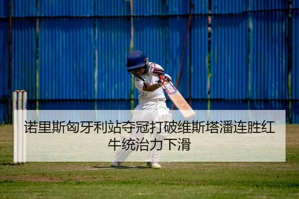 诺里斯匈牙利站夺冠打破维斯塔潘连胜红牛统治力下滑